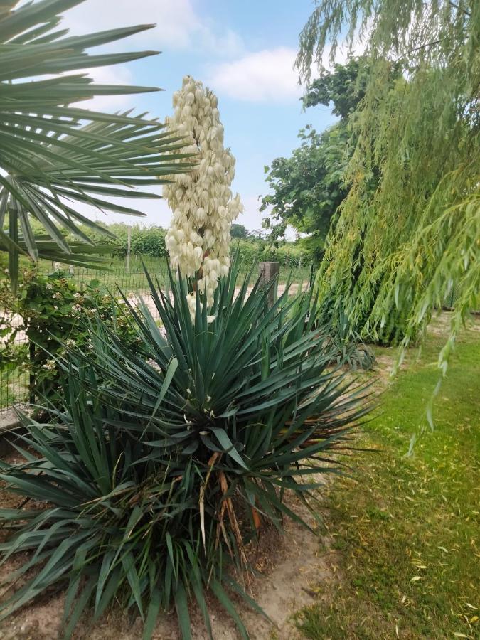 Bed and Breakfast Antico Borgo Leone Rauscedo Экстерьер фото